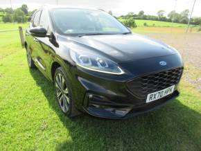 FORD KUGA 2021 (70) at Johnstone's Garage Kirkby Stephen