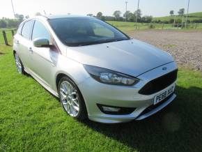 FORD FOCUS 2018 (68) at Johnstone's Garage Kirkby Stephen