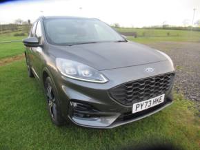 FORD KUGA 2023 (73) at Johnstone's Garage Kirkby Stephen